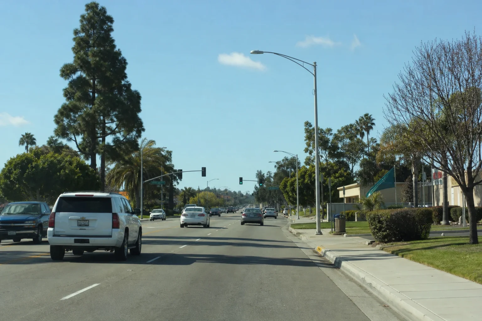 Wide multi-lane street with light traffic, traffic signals, streetlights, palm and pine trees, and a low commercial building beside a landscaped sidewalk